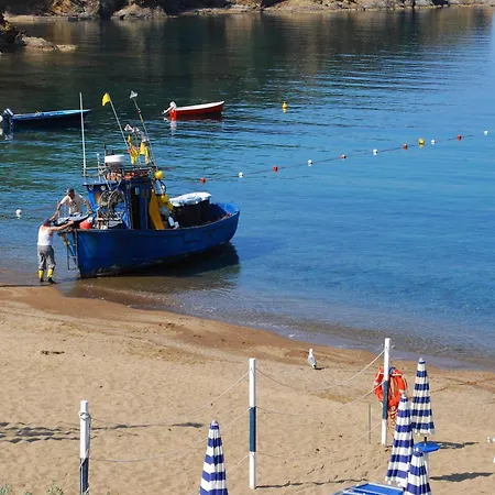 Stella Maris קאפוליברי